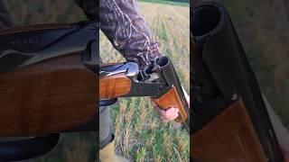 Baikal MP27-EM-1C over and under shotgun #shorts #short #shortsfeed