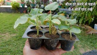 सफेद पेठा कैसे ग्रो करें | How to grow Ash gourd,