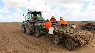 SRA Southern Region irrigation development