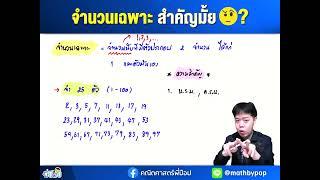 จำนวนเฉพาะ สำคัญมั้ย? | คณิตศาสตร์พี่ป๊อป