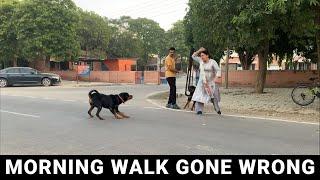 ADULT ROTTWEILER ATTACK ON SMALL ROTTWEILER | THOR Morning Walk | Rachit Panghal
