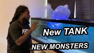 STOCKING MY NEW 125 GALLON FISH TANK WITH AGGRESSIVE EXOTIC MONSTER FISH