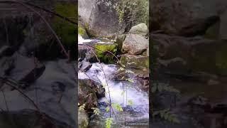 Water Fall | Manali | Jogini Fall | Nature beauty|