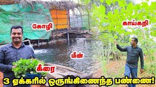 தோட்டத்திலிருந்து வீட்டுக்கு Vrisham Nature Farm -ன் Success -க்கு இதுதான் காரணம்! 