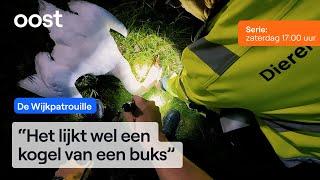 Laffe dierenbeul schiet prachtige zwaan dood | De Wijkpatrouille #2 | Oost