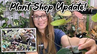 The Pink Trellis Plant Shop Update | LOTS of Hoya and more!