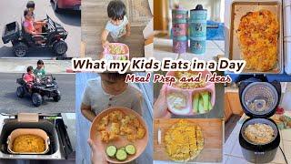 My Kids Full Day Food Routine| Toddler Breakfast Lunch, Dinner & Snacks Ideas and Meal Prep #hikole