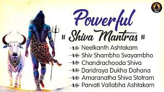 Powerful Shiva Mantras | Shiva Powerful Songs | Shiva Ancient Mantra | Most Powerful Stotram