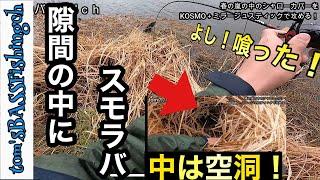 隙間にいれたら...食った！！ ミラージュスティックを使ったら...まさかの連発！！後編【春　】