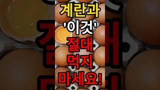 계란과 궁합 안 좋은 음식, 계란과 같이 먹으면 안되는 음식 #계란 #달걀