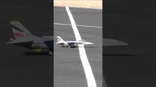 E-flite F-14 Tomcat Twin 40mm EDF takeoff w/Ali Machinchy!