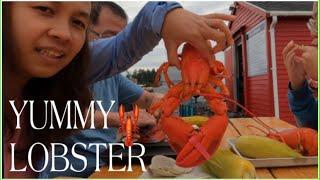 THE BEST LOBSTERS / FIVE ISLAND LOBSTER in GEORGETOWN MAINE