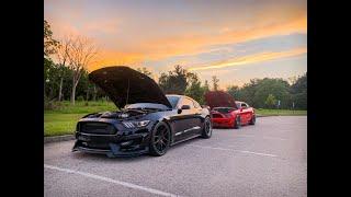 2 BOOSTED MUSTANGS GOING AT IT!!!