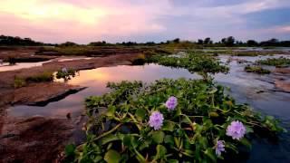 Философия и мировоззрение   The philosophy and outlook