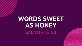 Words Sweet as Honey - Daily Devotion