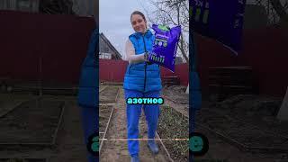 Не игнорируй подкормку лука иначе потеряешь все #сад #огород #дача #рассада #урожай #лук