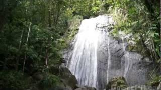 La Coca Waterfall in El Yunque National Forest Puerto Rico's Rain Forest