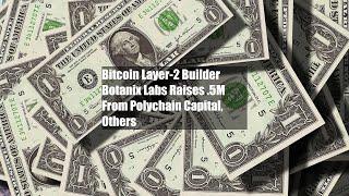 Bitcoin Layer-2 Builder Botanix Labs Raises $8.5M From Polychain Capital, Others