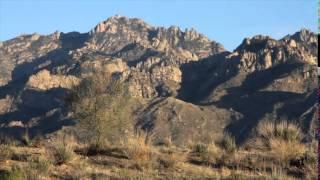 Oro Valley Profile