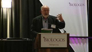 N.T. Wright: If Creation is Through Christ, Evolution is What You Would Expect
