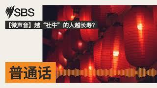 【微声音】越“社牛”的人越长寿？ | SBS Mandarin - SBS 普通话电台