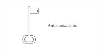 Pharmacology - antiemetics