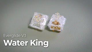 Everglide V3 Aqua King Switches Review | 워터킹,아쿠아킹