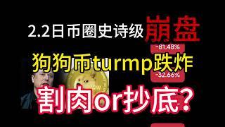 2.2日币圈史诗级崩盘！川普加关税！狗狗币trump跌炸！割肉or抄底？