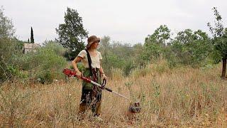 Summer Days on our Homestead | Volunteer Projects, Barley Harvest & Berries!