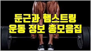 둔근, 햄스트링 발달을 위한 모든 것[데드리프트 완전 정복, 최고의 햄스트링 운동, 가장 추천 엉덩이 운동]