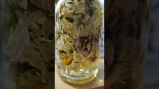 Мацерат ромашки.