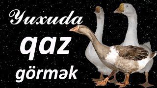 Yuxuda qaz görmək  Qısa #yuxuyozma - SƏSLİ YUXU YOZMALARI