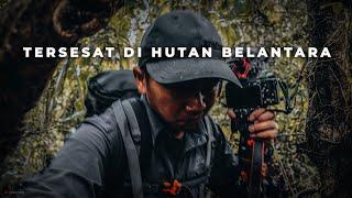 Tersesat Di Hutan Belantara | Tengah Malam Mendengar Suara Misterius