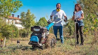 GREEN MANURE IN AUTUMN: TILLING OF THE SOIL AND SOWING