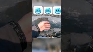 Рыбалка на поплавок #fishing #риболовля #рибалка #ловлянапоплавок