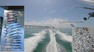 Tampa Bay Skyway Bridge Spanish & Snapper W/ Florida Fish Orry #skyway #DanTheFishMan