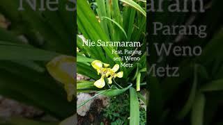 Nie Saramaram