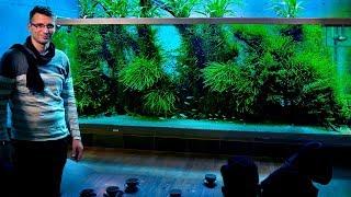 's Werelds beroemdste beplante aquarium: Takashi Amano's thuisaquarium in Japan (vlog deel 2)