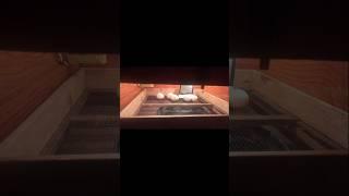 (Part 1) Saima k sary andy incubator ma rakh diye  #incubator #aseel #eggs #henslover #hatching