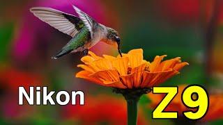 Nikon z9/ Sample videos 4k 120p