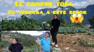 INCREIBLE COMO COSECHAMOS LAS VERDURAS EN XELA PAOLA  SACANDO REPOLLO PARA UNA SUSCRIPTORA DE USA