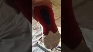 Nike LeBron “Tune Squad” shoes unboxing