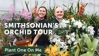 SMITHSONIAN GARDENS' Epic ORCHID GREENHOUSES — Ep. 378