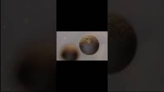 Разбор сложных заданий по биологии