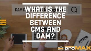 What is the Difference Between CMS and DAM?