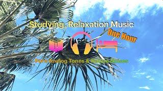 One-Hour Ambient Studying and Relaxation Music: Pure Analog Synthesizer Tones & Nature Noises