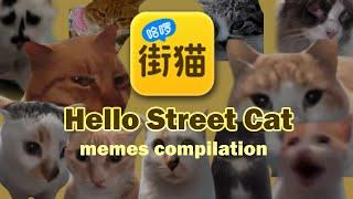 Hello Street Cat discord meme compilation!