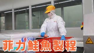 【口湖台灣鯛】鮭魚菲力製程