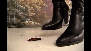 N32 Bug Crush Teaser - Black Boots and Cockroaches