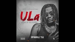 Sparkle tee ula